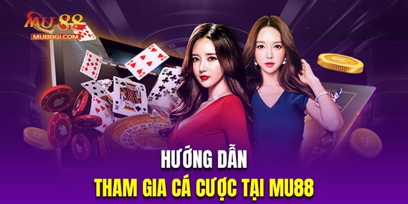 Quy trình cá cược tại nhà cái uy tín