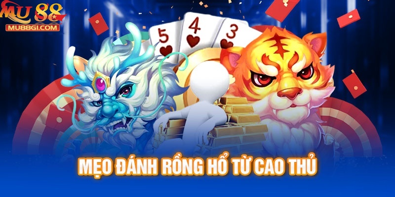 Chiến thuật bất bại khi chơi rồng hổ